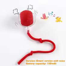 New Dog Interactive Ball Toy,Automatic Rolling Dog Ball Rechargeable,Smart Puppy Interactive Toy,Intelligent Balls Toy for Dogs