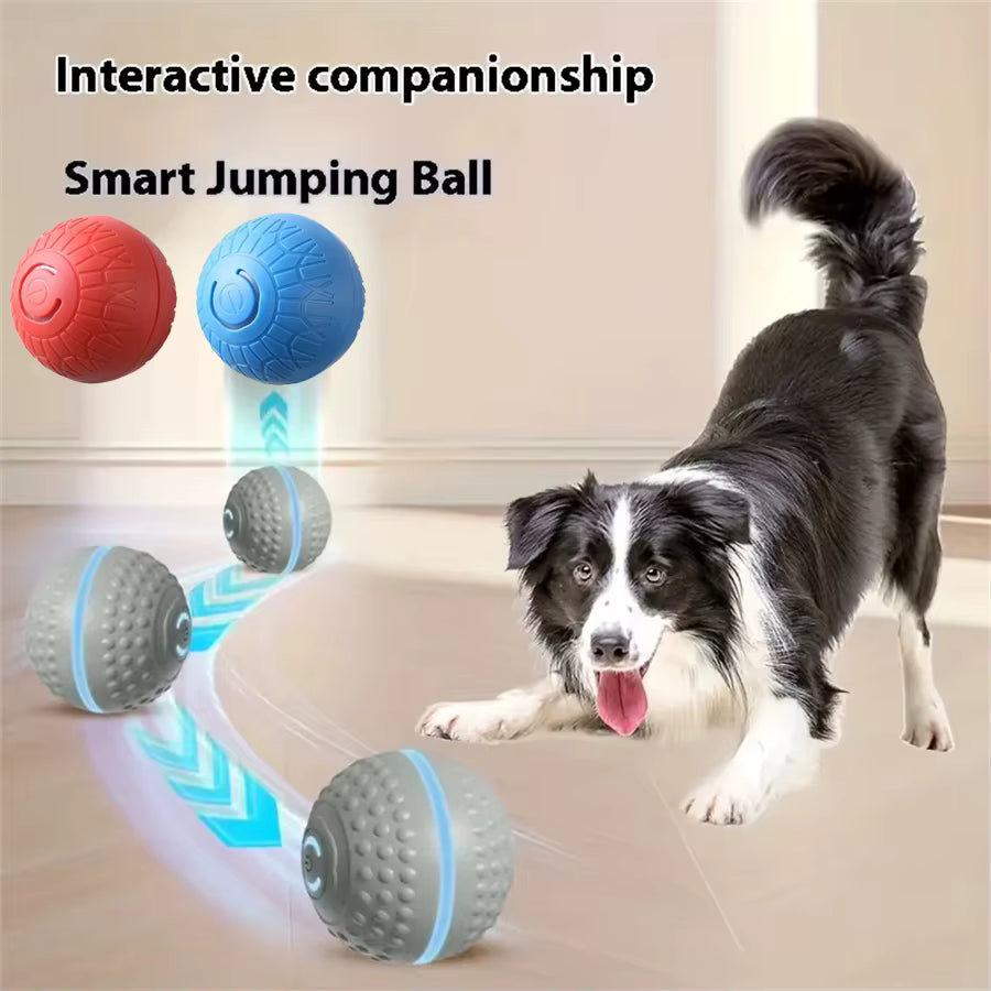 Smart Automatic Rolling Dog Ball – USB Rechargeable Interactive Toy