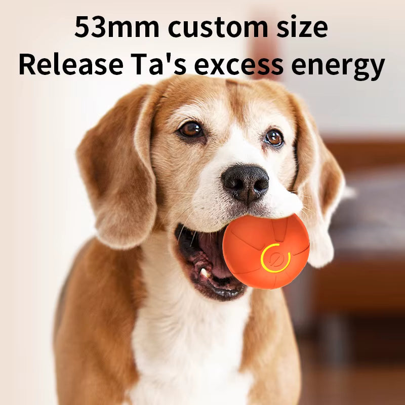 Smart Automatic Rolling Dog Ball – USB Rechargeable Interactive Toy