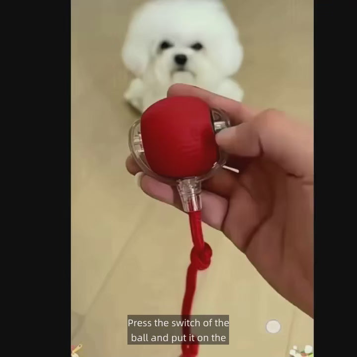 New Dog Interactive Ball Toy,Automatic Rolling Dog Ball Rechargeable,Smart Puppy Interactive Toy,Intelligent Balls Toy for Dogs